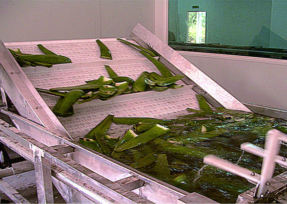 ประเทศจีน อุตสาหกรรมผักผลไม้เครื่องซักผ้าเครื่อง Bubbling หมุนเวียนล้างล้าง ผู้ผลิต