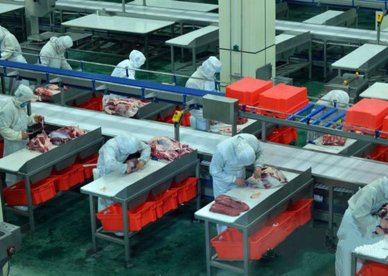 ประเทศจีน สายการผลิตเนื้อสัตว์แยกสายการผลิต / สายการผลิต 100-300 ความเร็วต่อวัวต่อชั่วโมง ผู้ผลิต