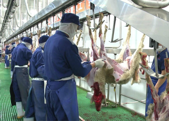ประเทศจีน เนื้อแกะแพะแยกสายการผลิตเนื้อสัตว์การฆ่าสัตว์ประเภทการแปรรูปทั้งหมด ผู้ผลิต