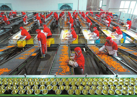 ประเทศจีน ถ้วยพลาสติกผลิตอาหารกระป๋อง, อุปกรณ์แปรรูปผักและผลไม้ ผู้ผลิต